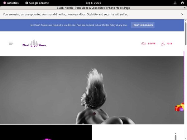 BLACKHORNIS Discount Trial Link