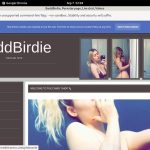 Baddbirdie.modelcentro.com Discount Promo