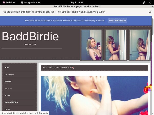 Baddbirdie.modelcentro.com Discount Promo