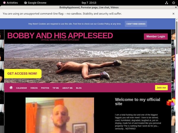 Bobbyappleseed.modelcentro.com Member Password