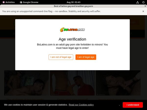 Bolatino Paysite Passwords