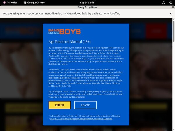 Carnal Plus Pornstar