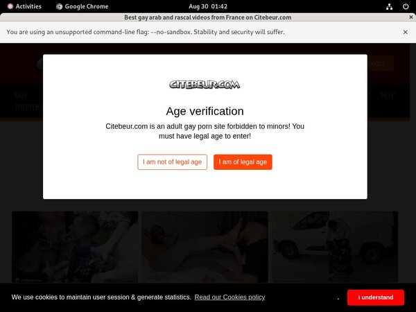 Citebeur With Webbilling.com
