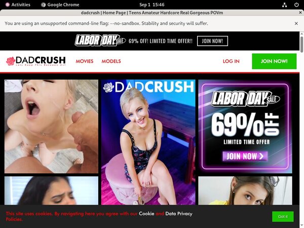 Dadcrush.com Webcams