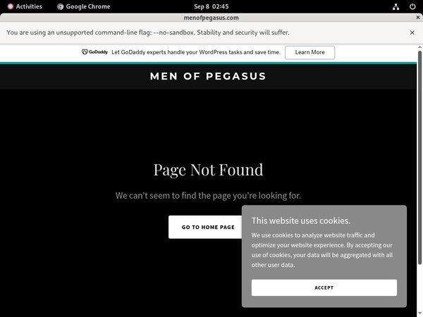 Daily Menofpegasus Accounts