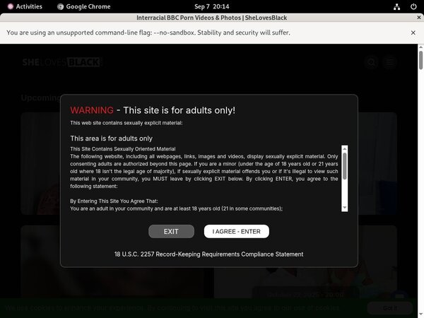 [Image: Free-Shelovesblack-Hd-Porn.jpg]