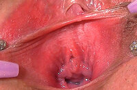 Gapemypussy.com Free Trial Password s3