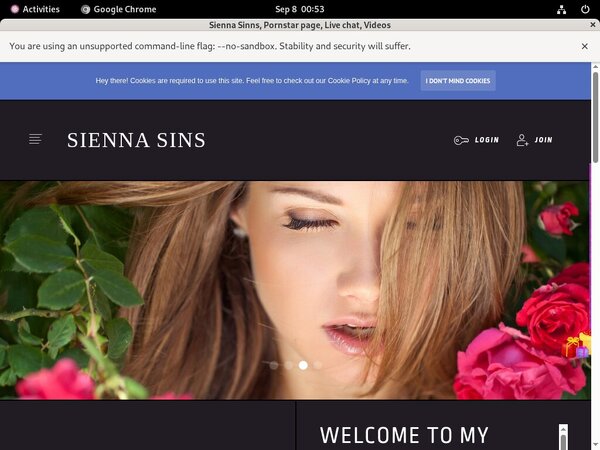 Get Into Siennasinns.modelcentro.com