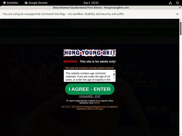 Hungyoungbrit Porn Video