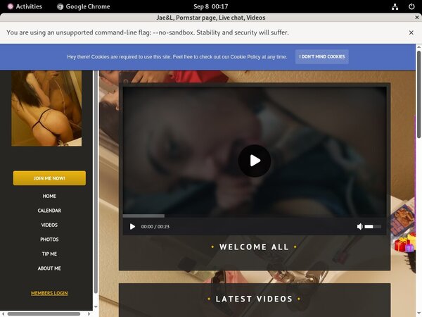 Jae&L Porn Pass
