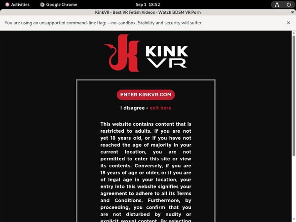 Kink VR Pregnant