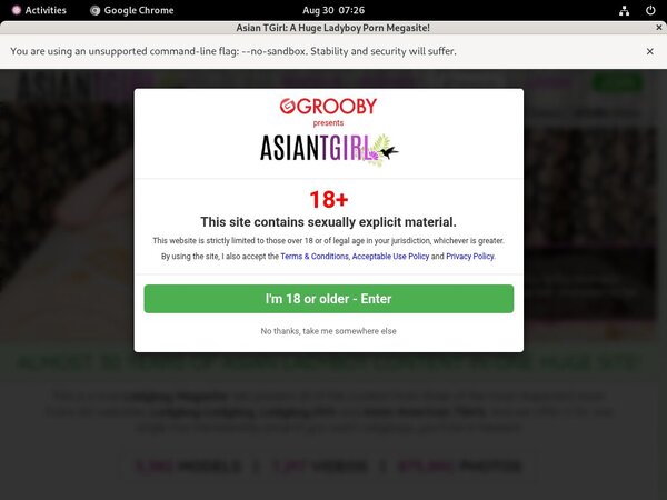 Ladyboy Ladyboy Discreet