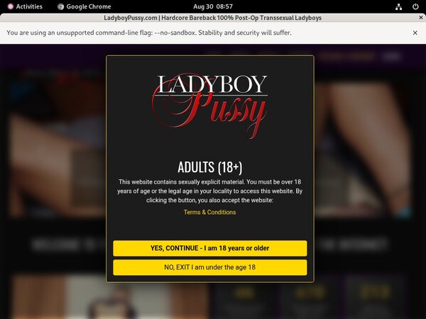 Ladyboy Pussy Porn
