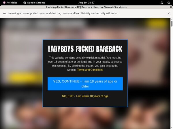 Ladyboysfuckedbareback Epoch Payment