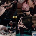 Land Subspace Premium Account Land Subspace Premium Account