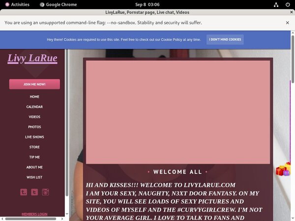 LivyLaRue Login Codes