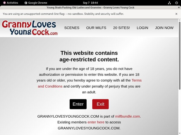 Login To Grannylovesyoungcock.com Free