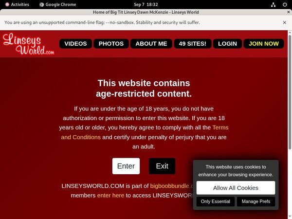 Logins For Linseysworld