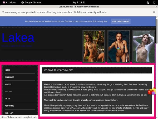New Lakea_Model