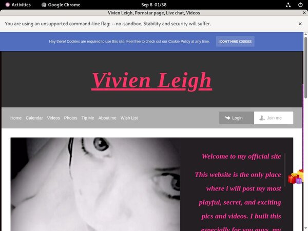 New Vivienleighandme