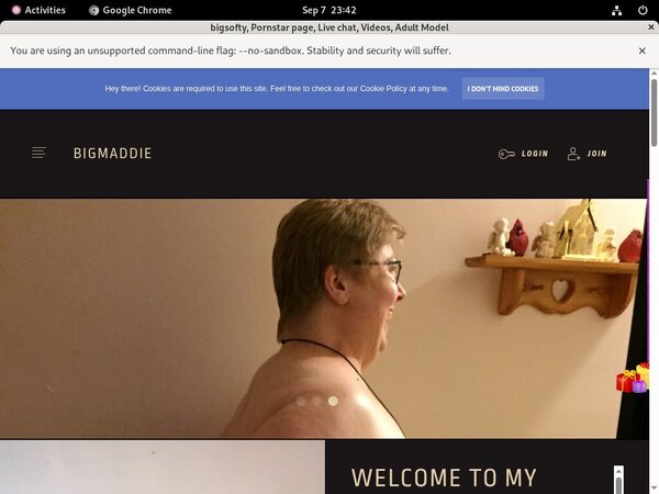 Passwords Bigmaddie.com