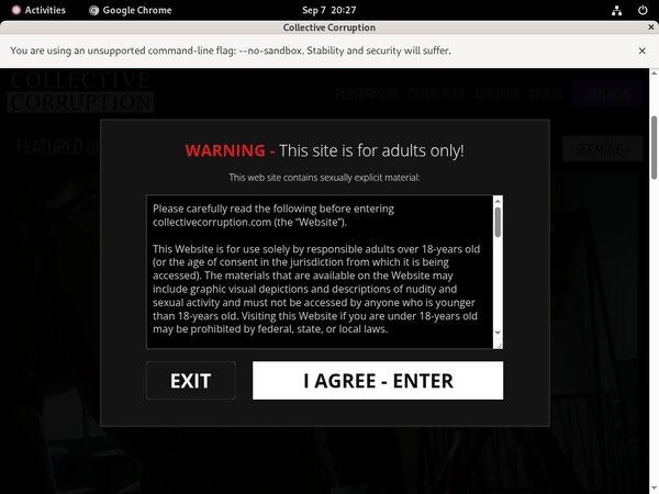 Paypal Corruption Collective