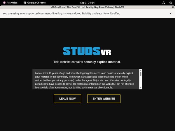 Pornhub Studs VR
