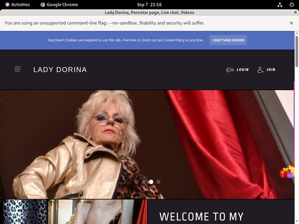 Premium LadyDorina Account