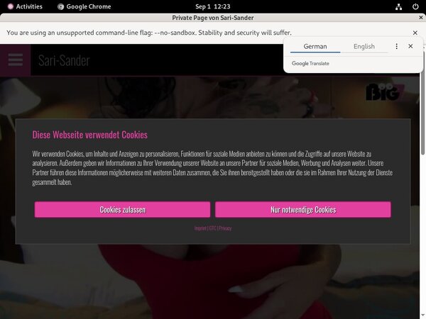 Sari Sander Chat