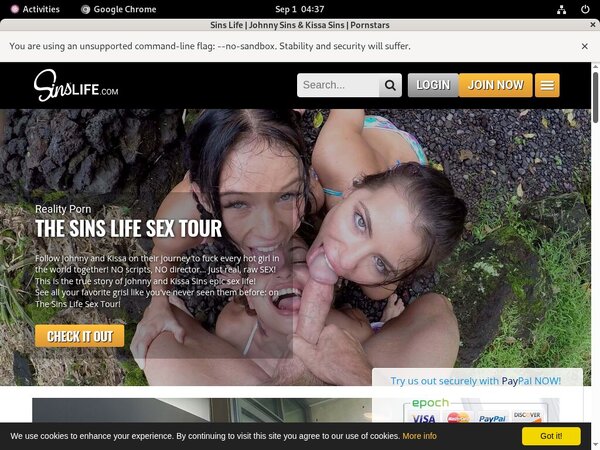 Sins Life Hacked Password