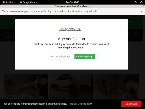 [Image: Sketboy-Discount-Access.jpg]