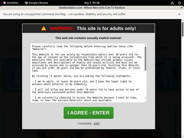 Swallow Salon Web Swallow Salon Web