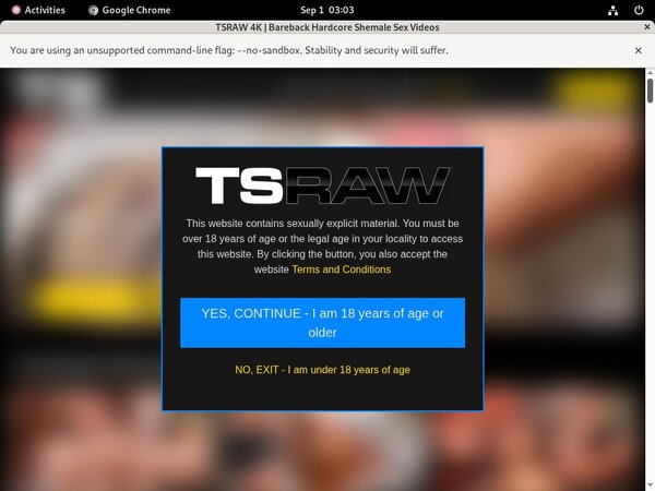 TS Raw Offer