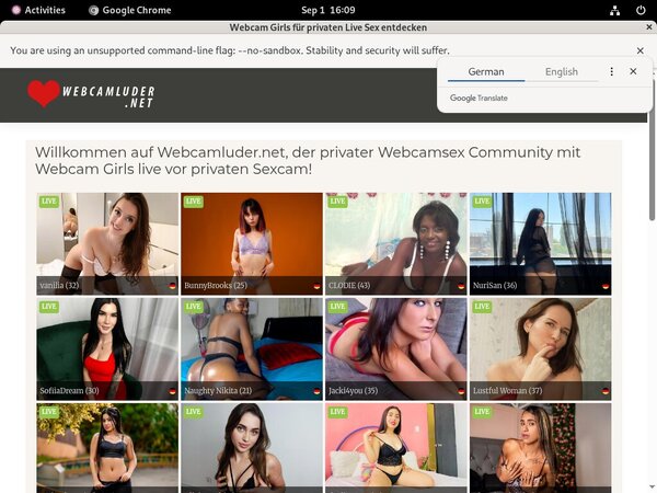 Webcamluder Full Account