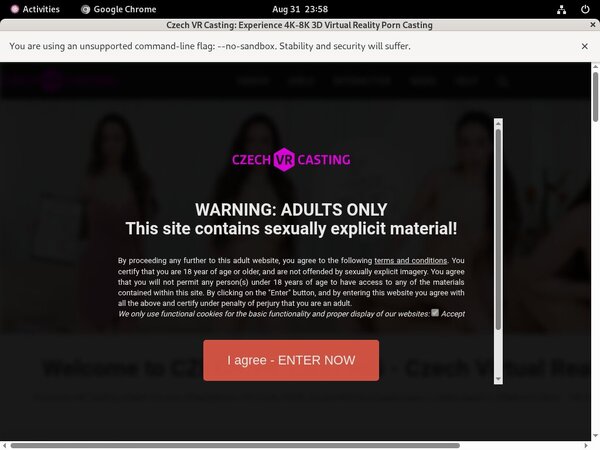 Czech VR Casting Fuck Czech VR Casting Fuck