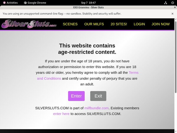 Silver Sluts Web Billing